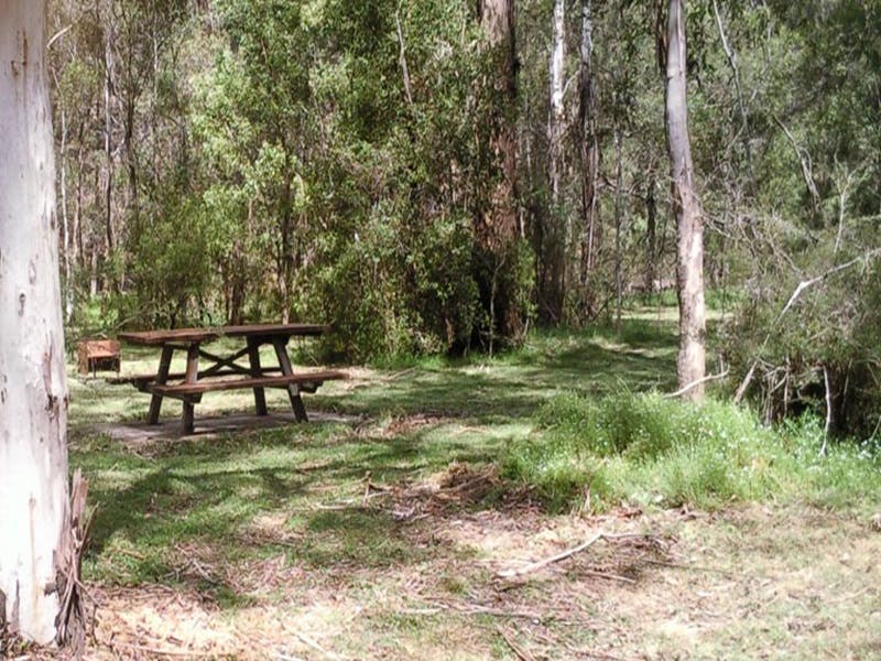 Mulloon Creek campground - Accommodation Sunshine Coast