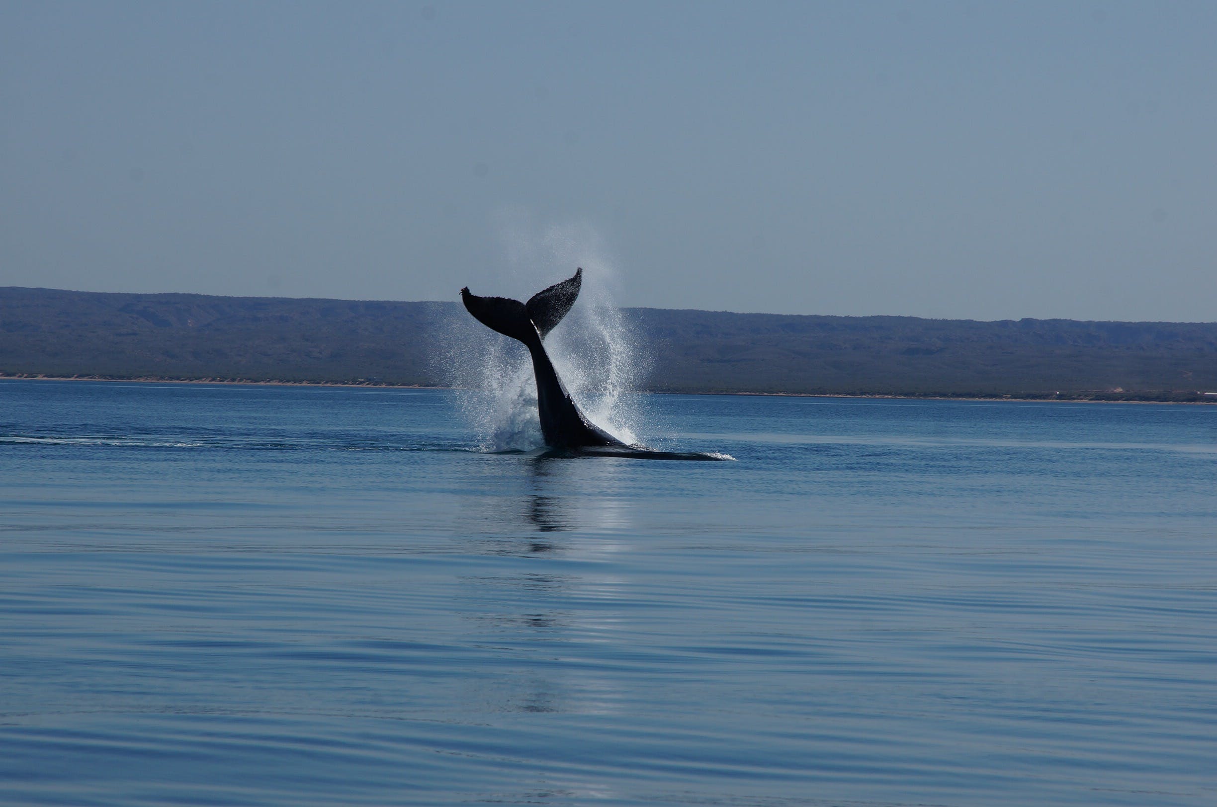 Ningaloo Bed And Breakfast - Accommodation Bookings 2