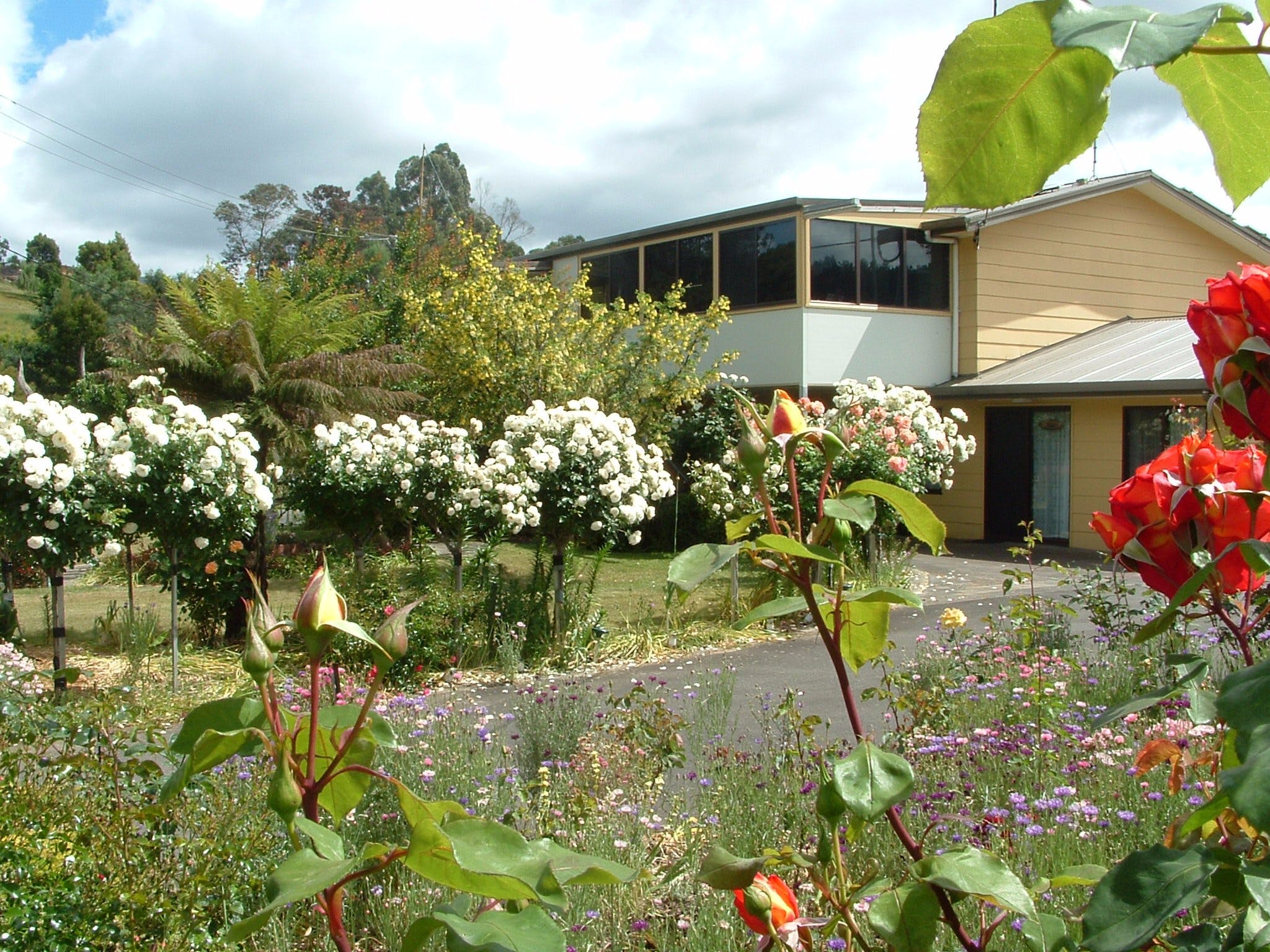 North East Restawhile Bed and Breakfast - Accommodation Cooktown