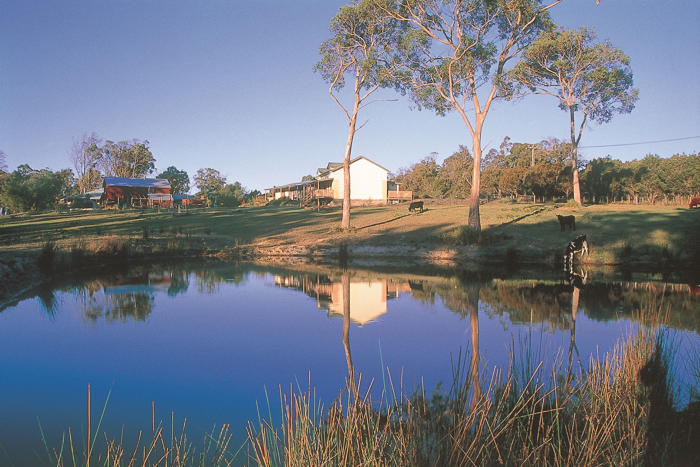 Platypus Park Country Retreat - Accommodation in Brisbane