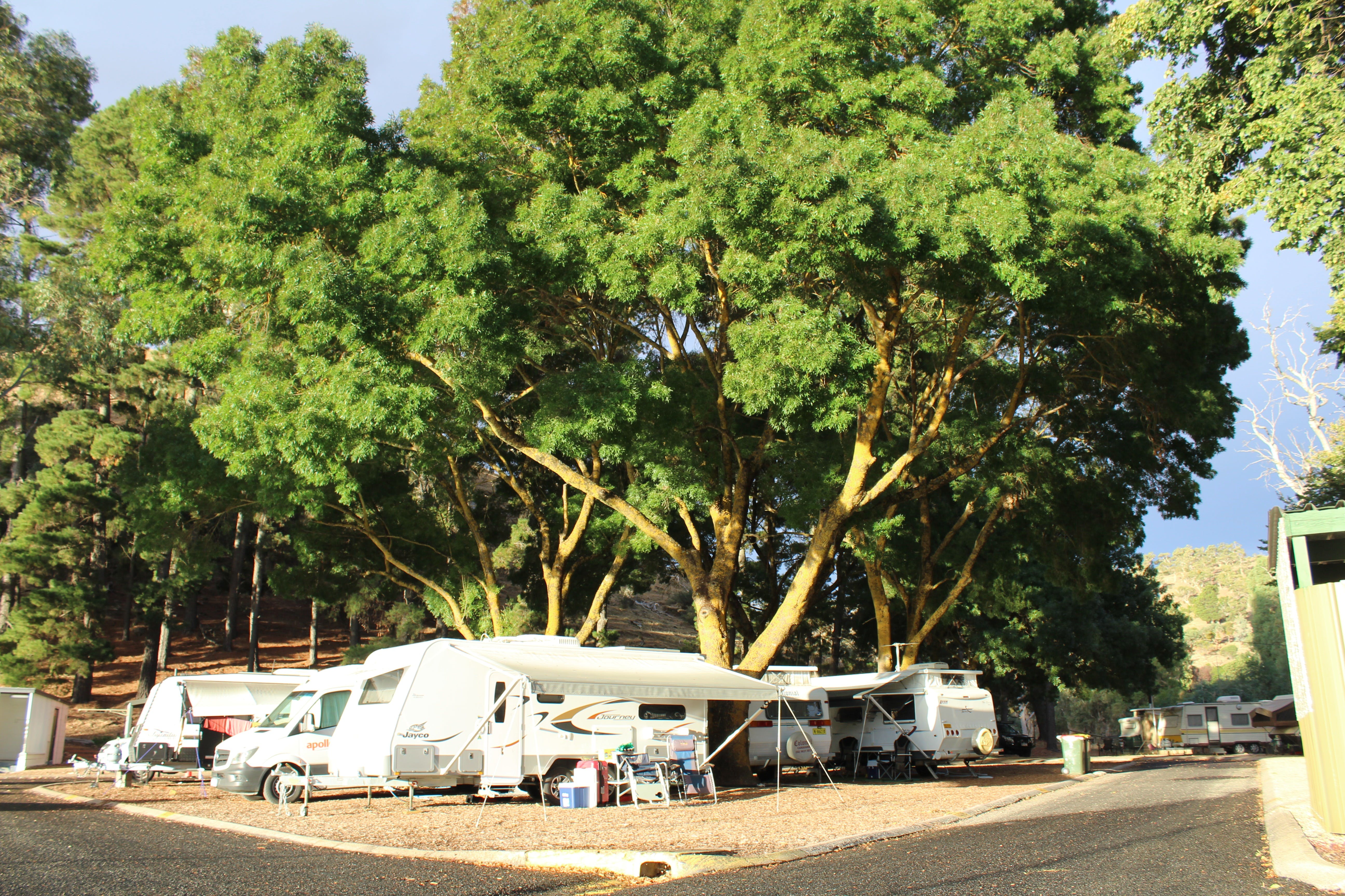 Williamstown Queen Victoria Jubilee Park - Kempsey Accommodation