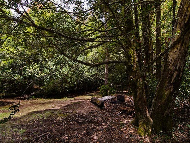 Wombat Creek Campground - thumb 1