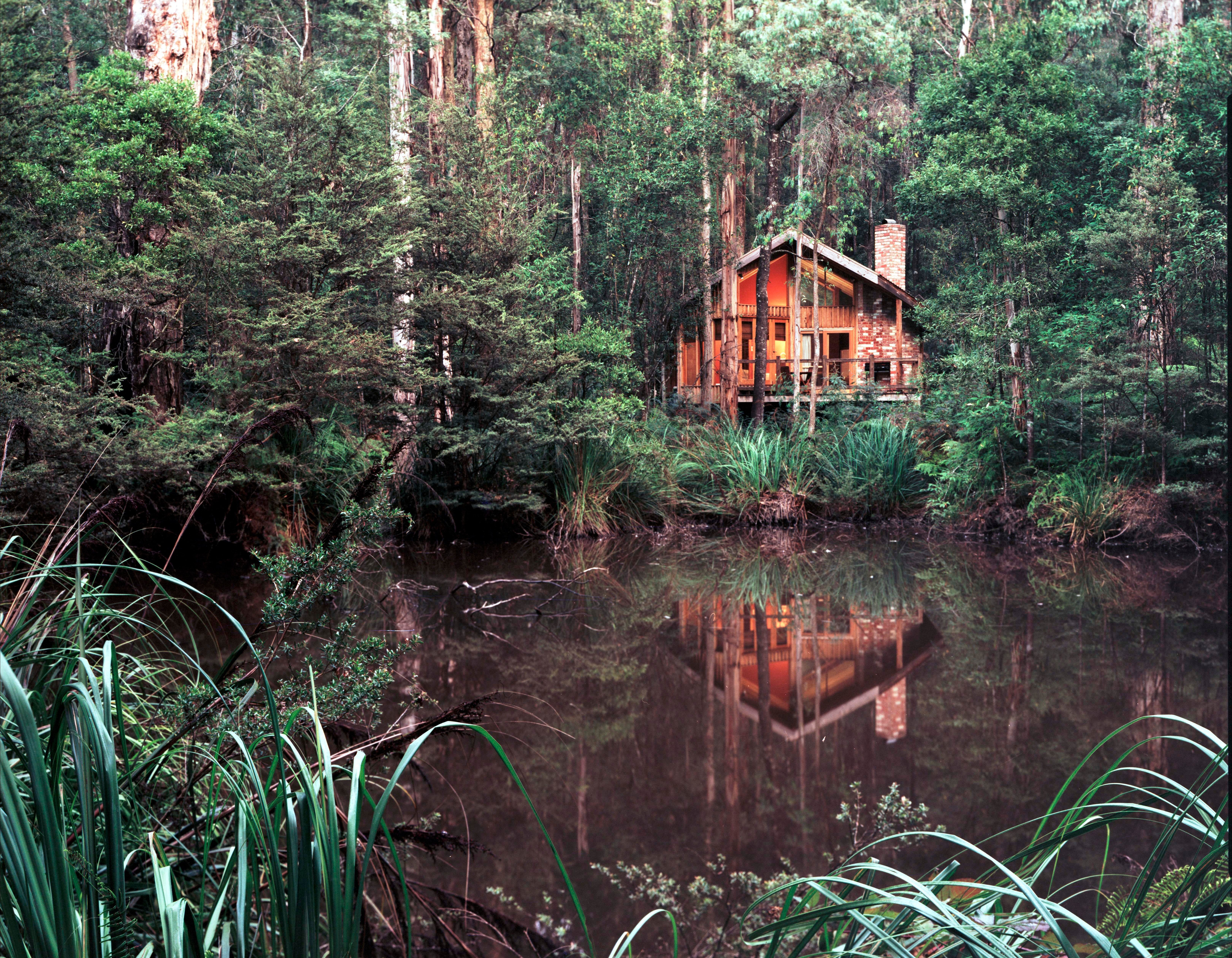 Woodlands Rainforest Retreat - Accommodation Bookings 0