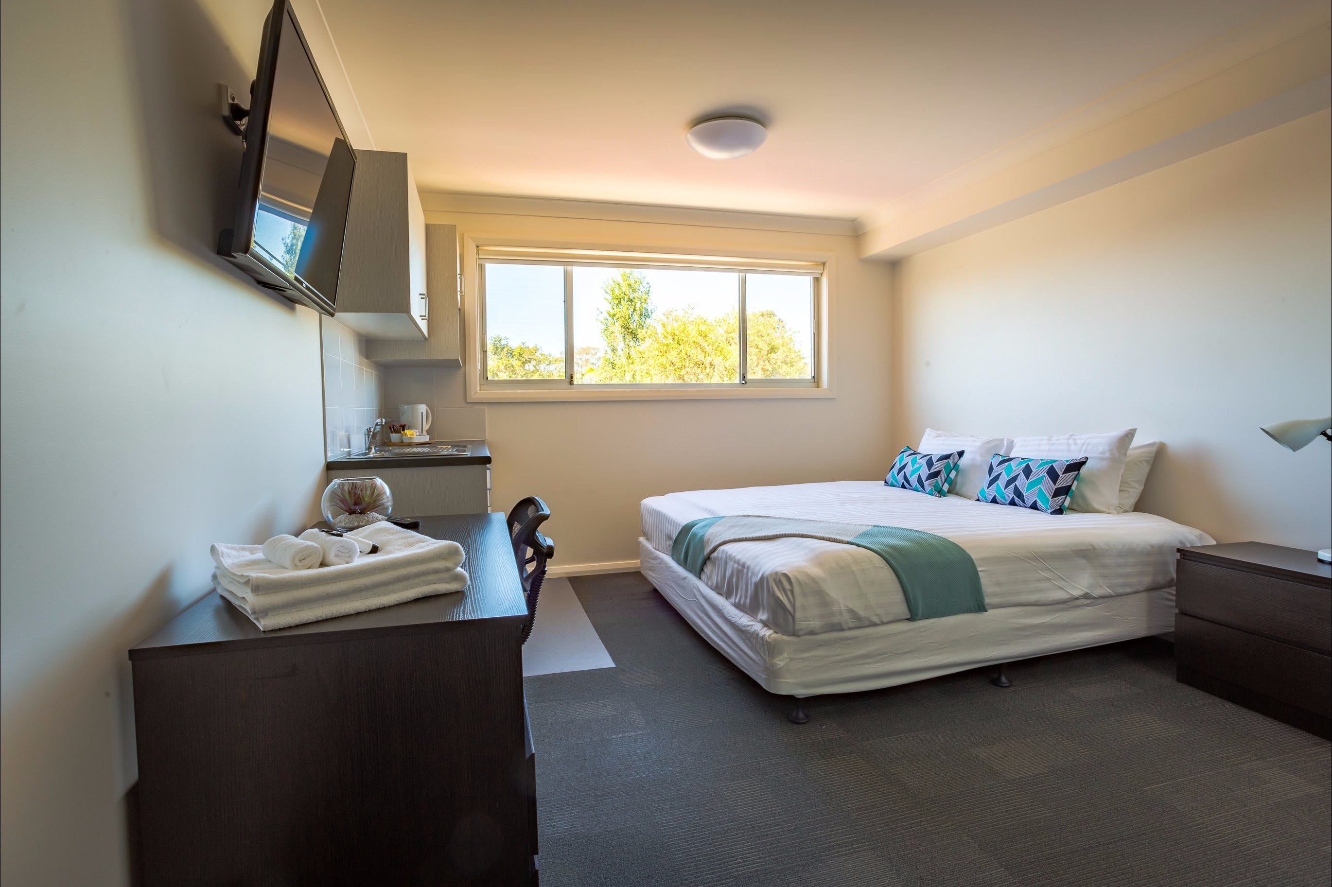 Aspire Mayfield - Coogee Beach Accommodation