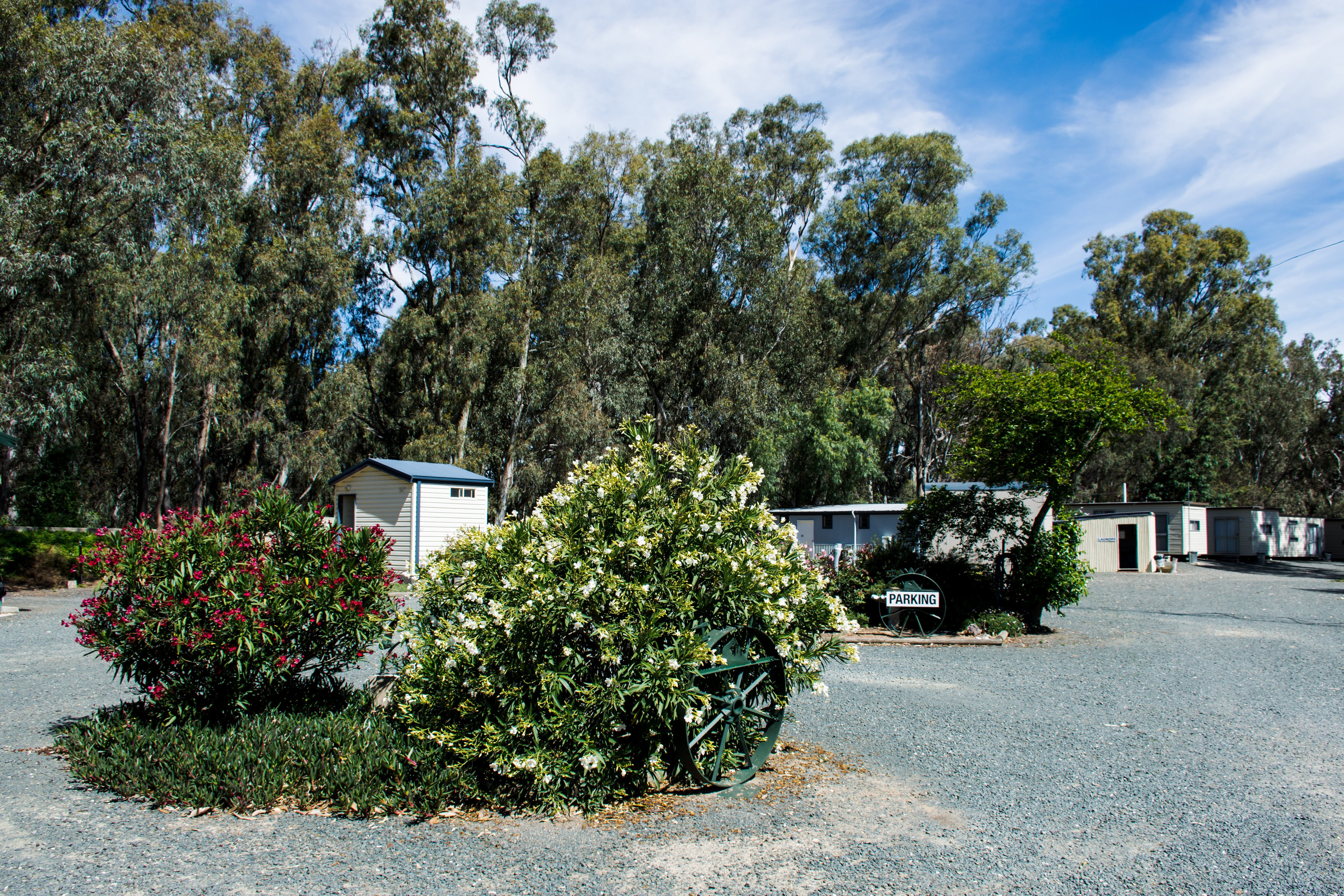 Deniliquin Car-O-Tel And Caravan Park - thumb 1