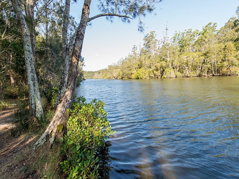 Ferny Creek campground - Tourism Brisbane