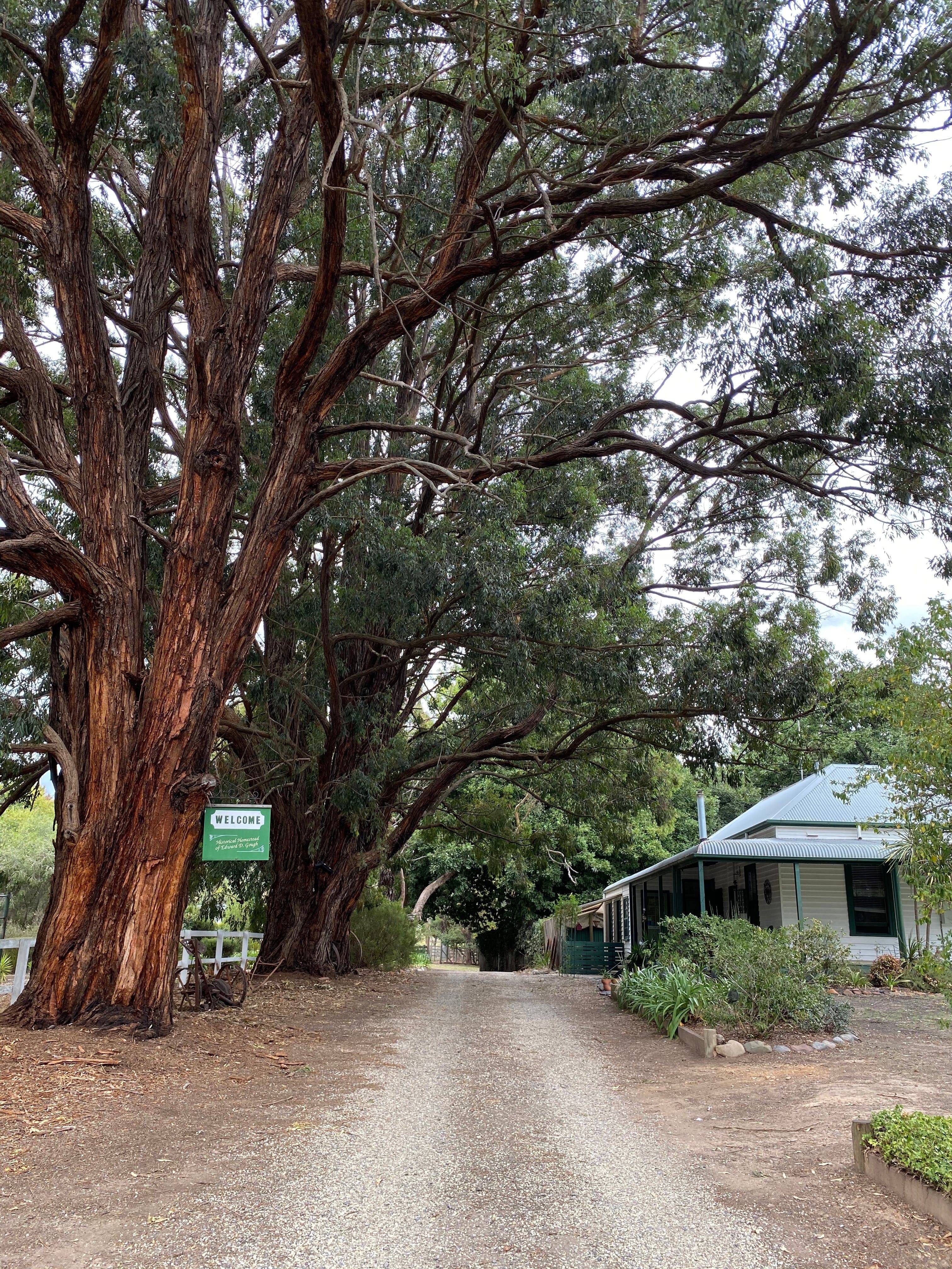Fernleigh Accommodation - Accommodation NT