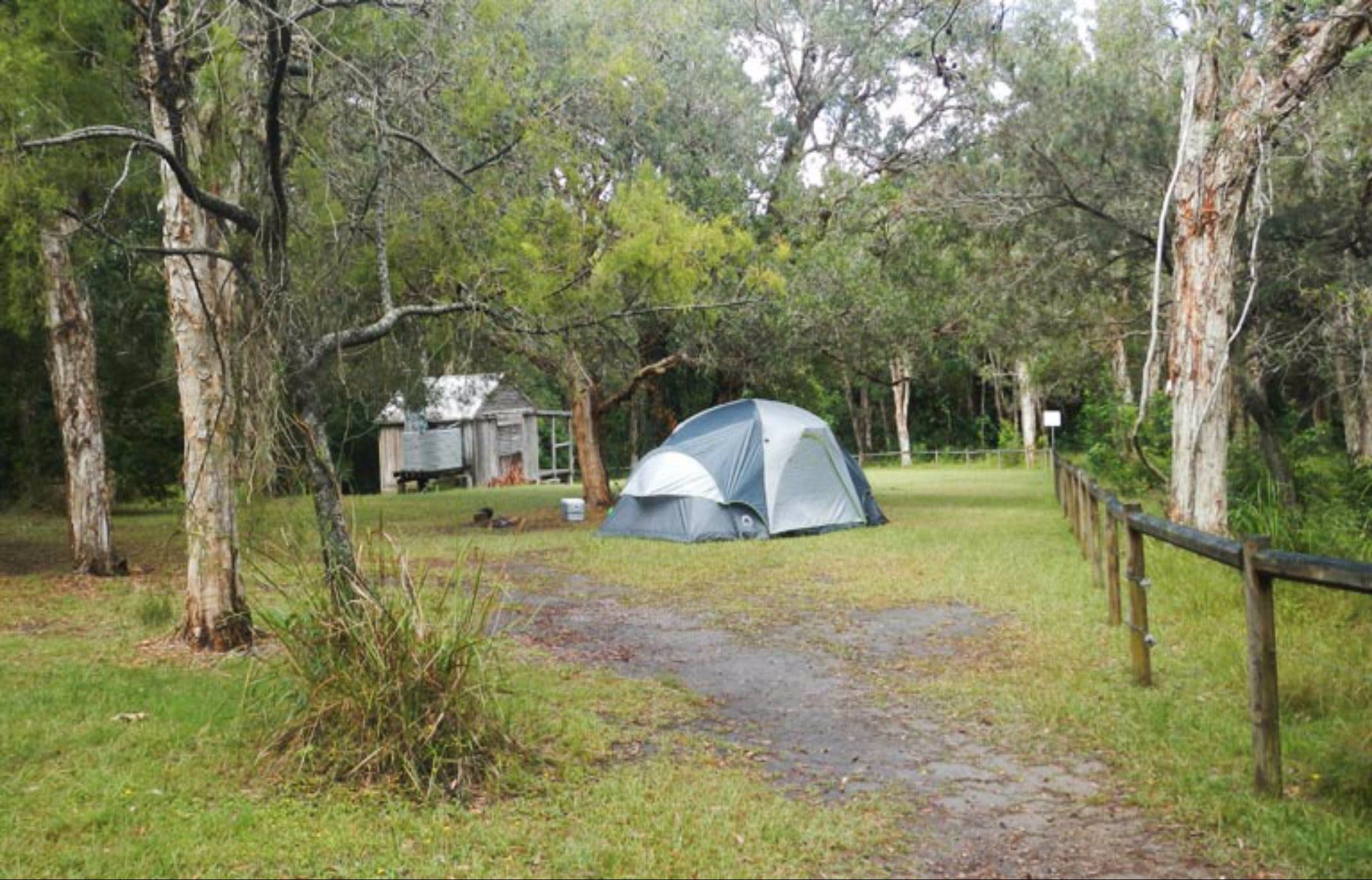 Kylies Hut walk-in campground - Accommodation Mount Tamborine