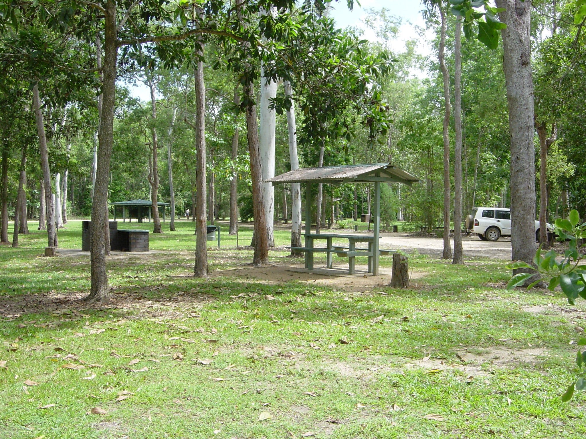 Broadwater camping area Abergowrie State Forest - Accommodation Main Beach