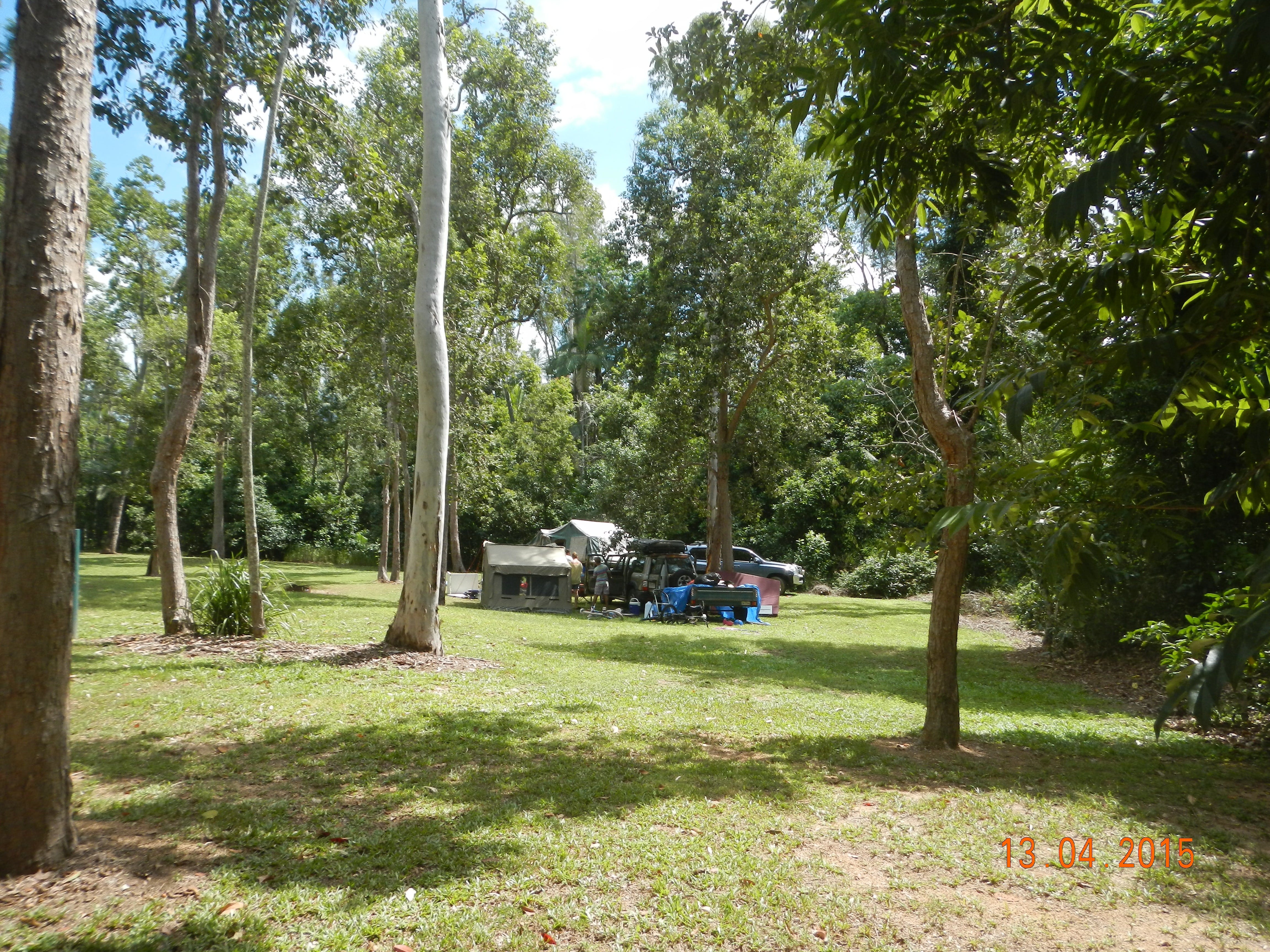 Broadwater Camping Area, Abergowrie State Forest - thumb 1