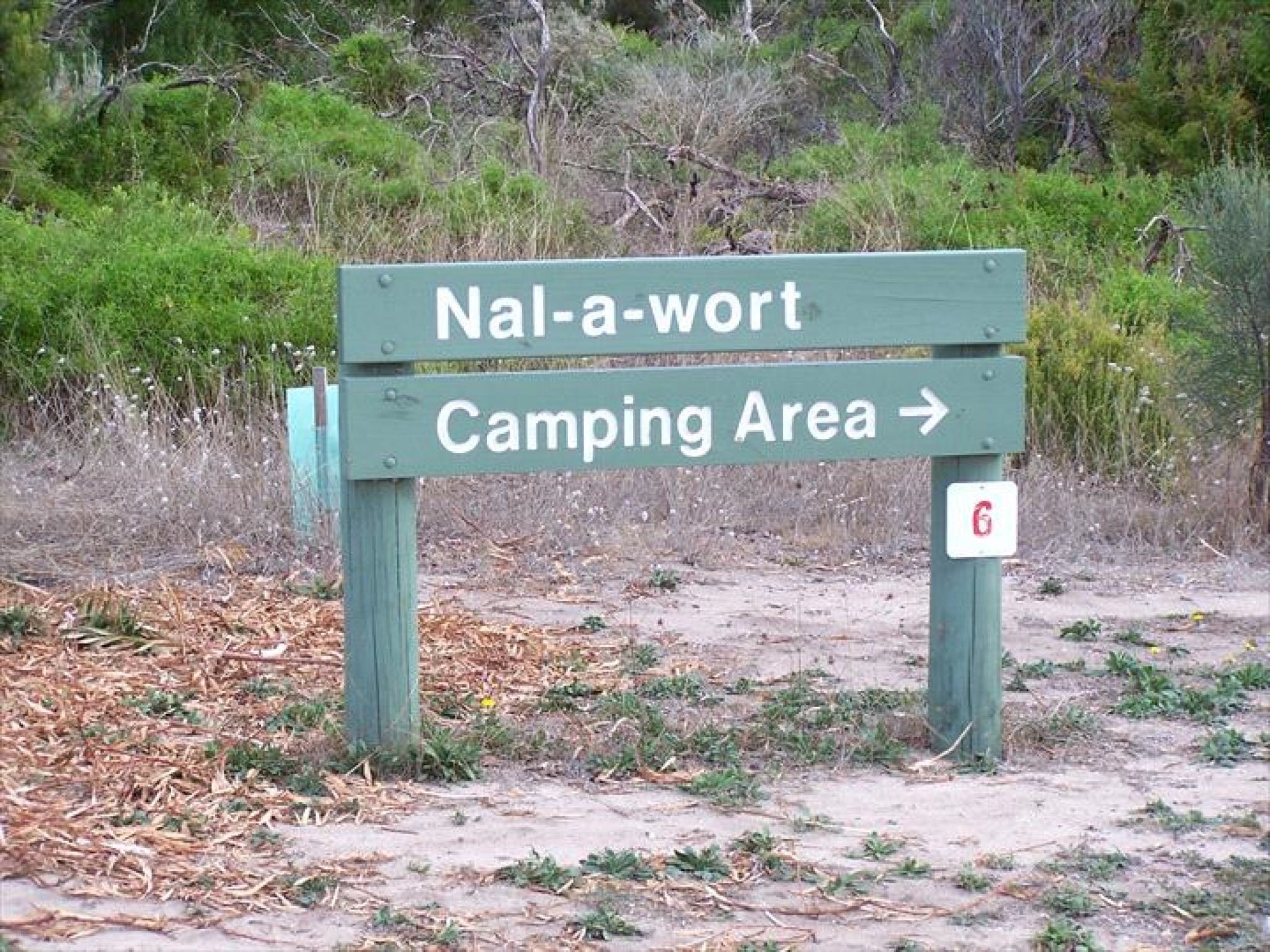 Nal-a-wort Campground - Canunda National Park - thumb 0