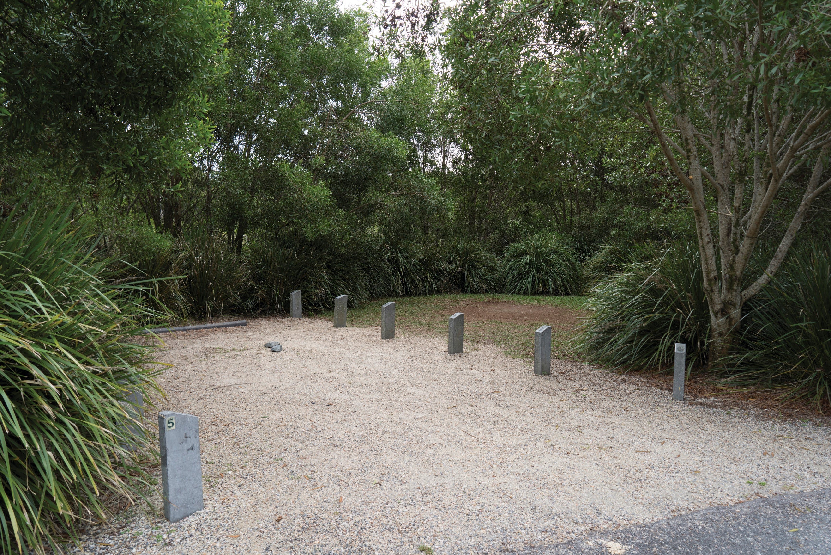 Springbrook National Park camping - Accommodation Airlie Beach