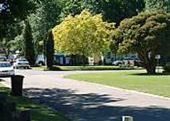 Mitchell Gardens Holiday Park - Accommodation NT