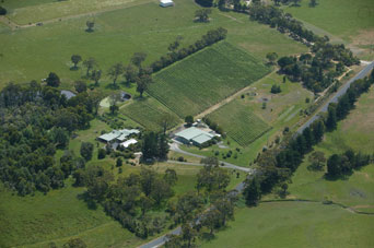 Lyre Bird Hill Winery And Guest House - thumb 5