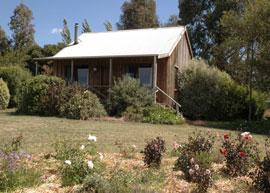 Bloomfield Cottages - Lismore Accommodation 3