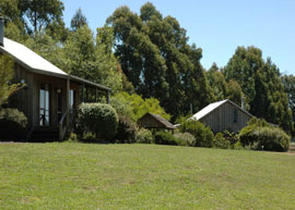 Bloomfield Cottages - Lismore Accommodation 4