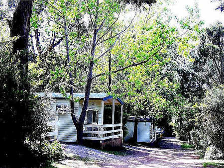 Flinders Caravan Park - Whitsundays Accommodation