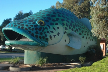 Swan Hill Holiday Park - Lismore Accommodation 4