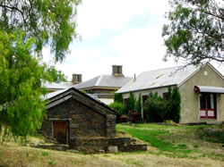 Lochinver Farm - Grafton Accommodation 0