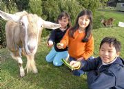 Johanna River Farm and Cottages - Accommodation Mt Buller