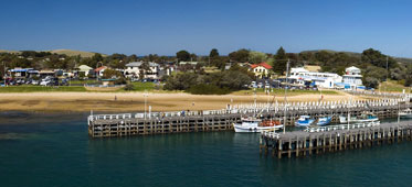 San Remo Holiday Park - Coogee Beach Accommodation 1