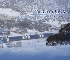 Snowy Gums Chalet - Maitland Accommodation