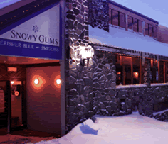 Snowy Gums Chalet - Hervey Bay Accommodation 2