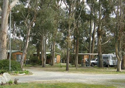 Shady Acres Caravan Park Ballarat - Hervey Bay Accommodation 5