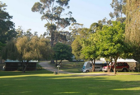 A Wangralea Caravan Park - Whitsundays Accommodation 3