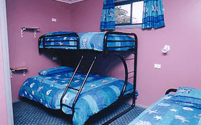 Homelea Accommodation Apartments - Accommodation Resorts