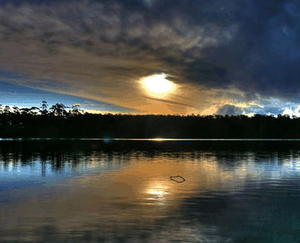 Lake Yalleena Cabins - thumb 3