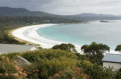 Bay Of Fires Character Cottage - Coogee Beach Accommodation 3