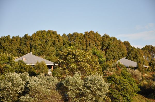 Tallaringa Views - Wagga Wagga Accommodation